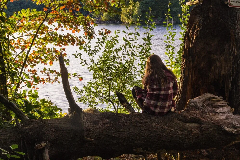 Aurö: A Journey into the Enchanting World of Nature and Culture