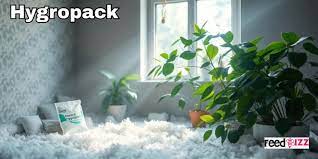 Hygropack: The Essential Guide to Moisture Control Solutions