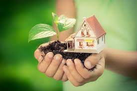 Acamento: Eco-Friendly Practices for a Greener Home