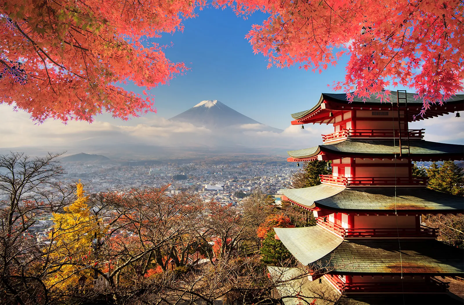 Jyokyo: Meaning, Origins, and Modern-Day Significance